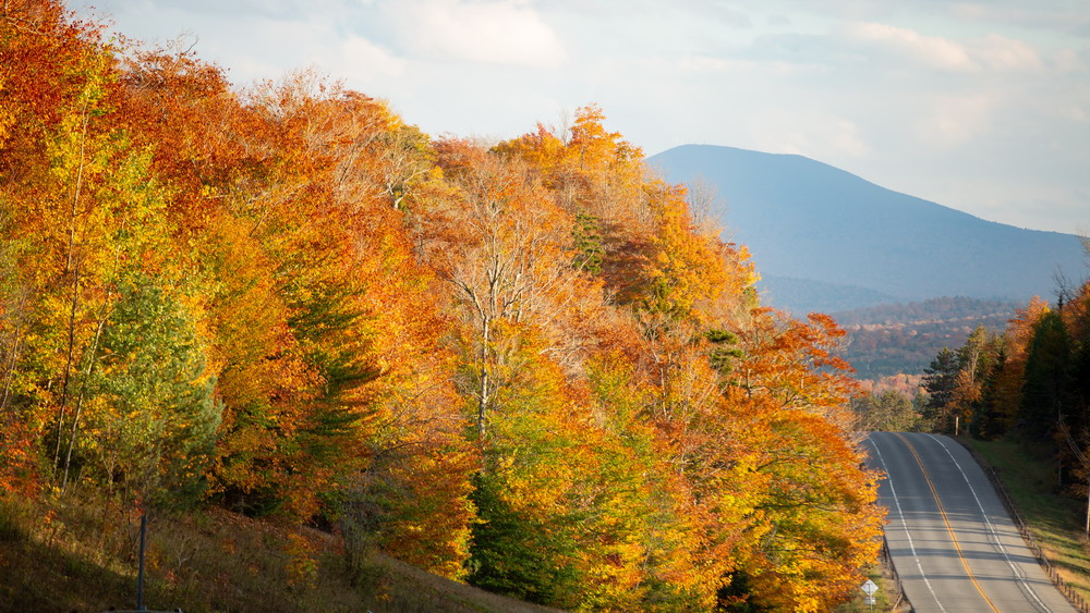 Adirondack Route 30 fall foliage road