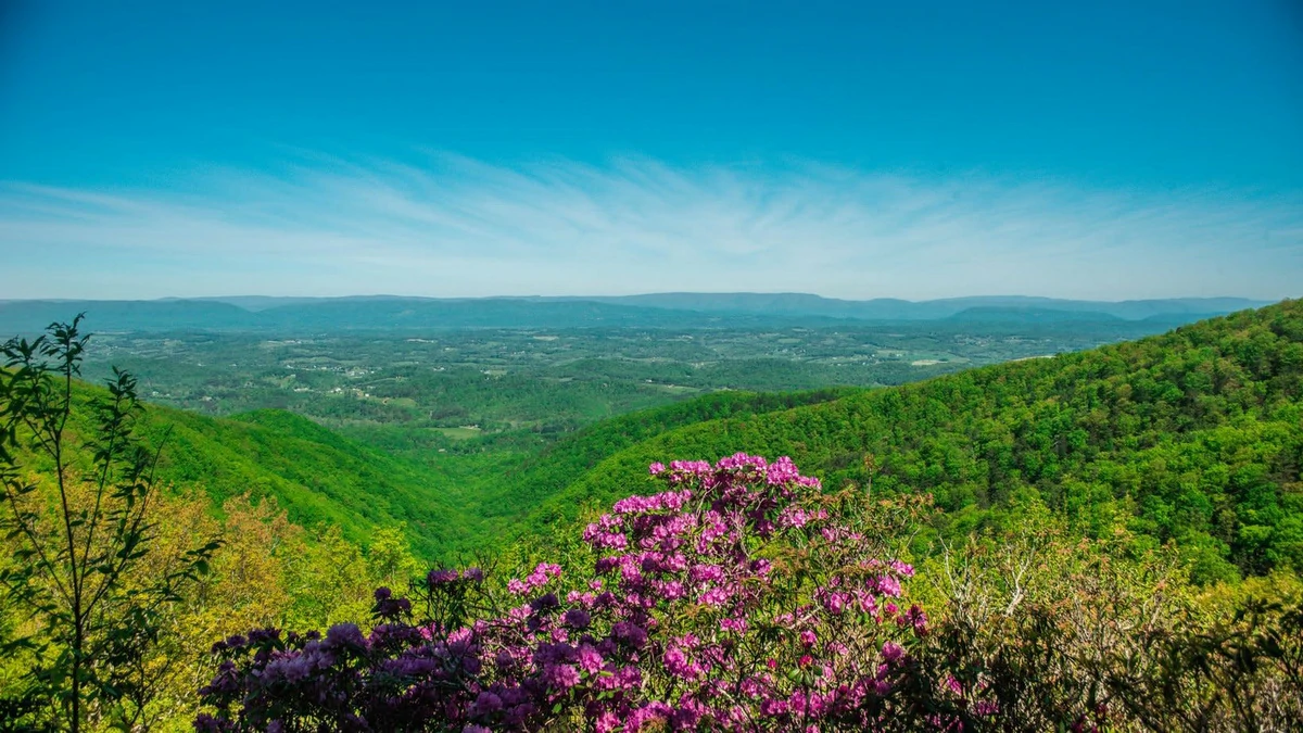 Blue Ridge Parkway Virginia Mountains Spring