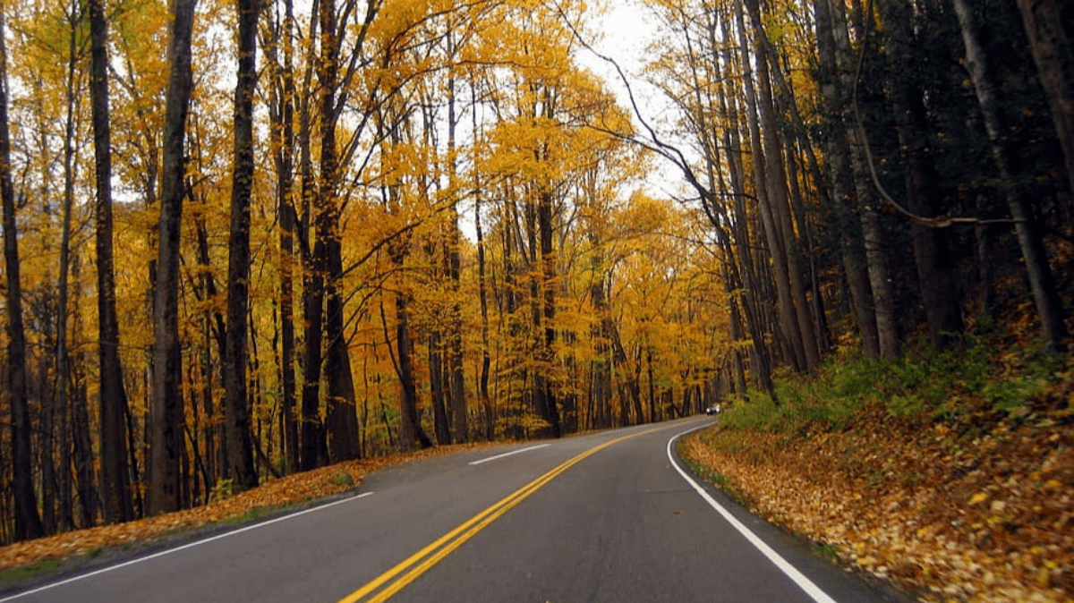 Great Smoky Mountains National Park – Tennessee & North Carolina