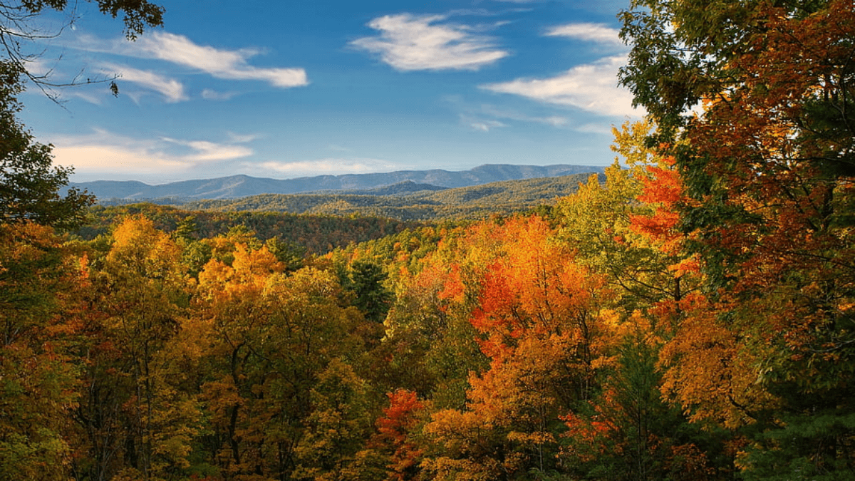 Great Smoky Mountains National Park