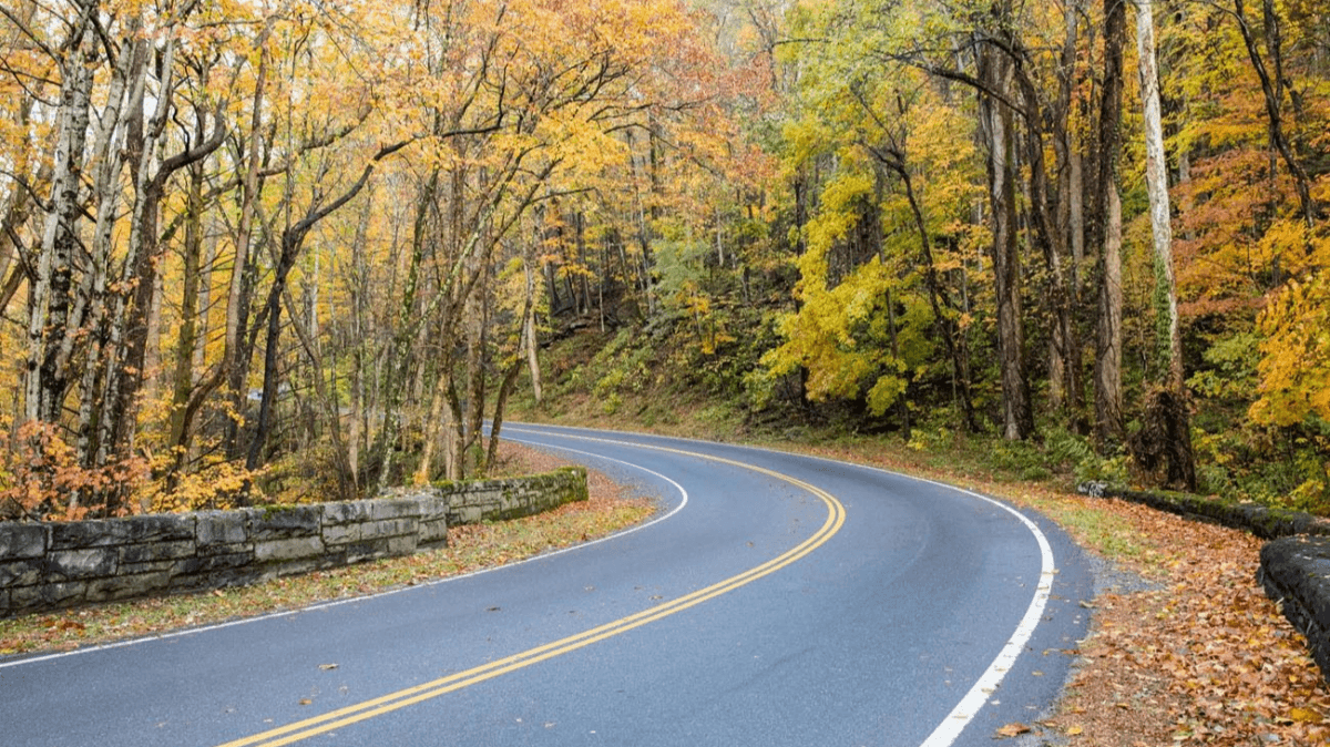 Great Smoky Mountains Network – Tennessee & North Carolina