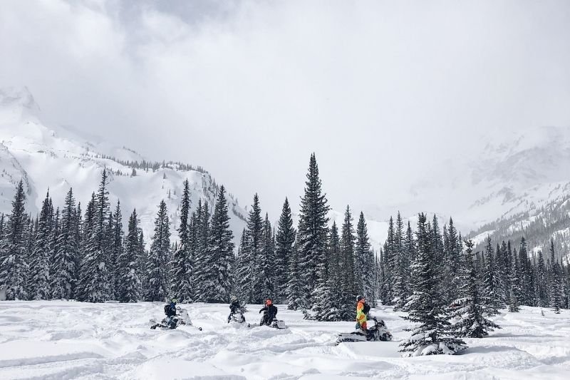 Team cycling in the snow forest