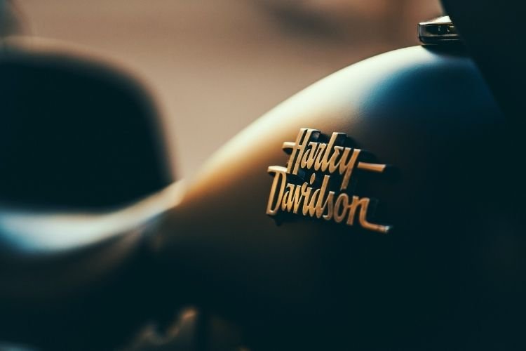 Harley Davidson Hardtail Motorcycle