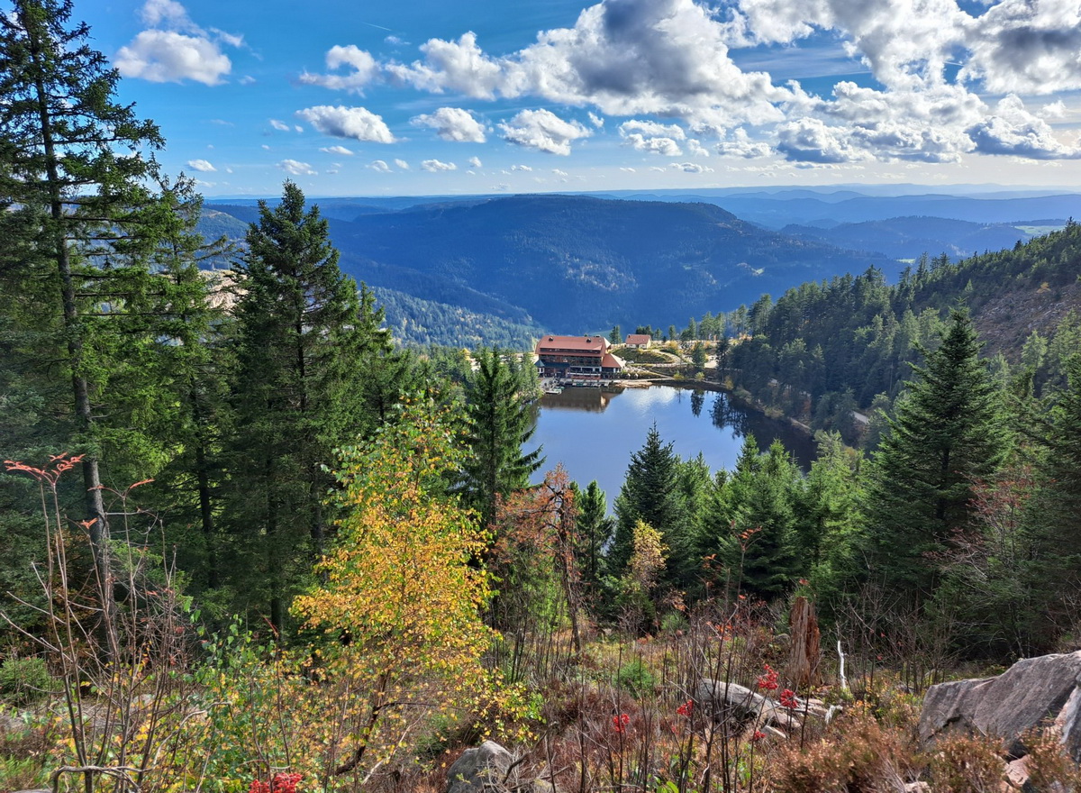 Hornisgrinde Viewpoint