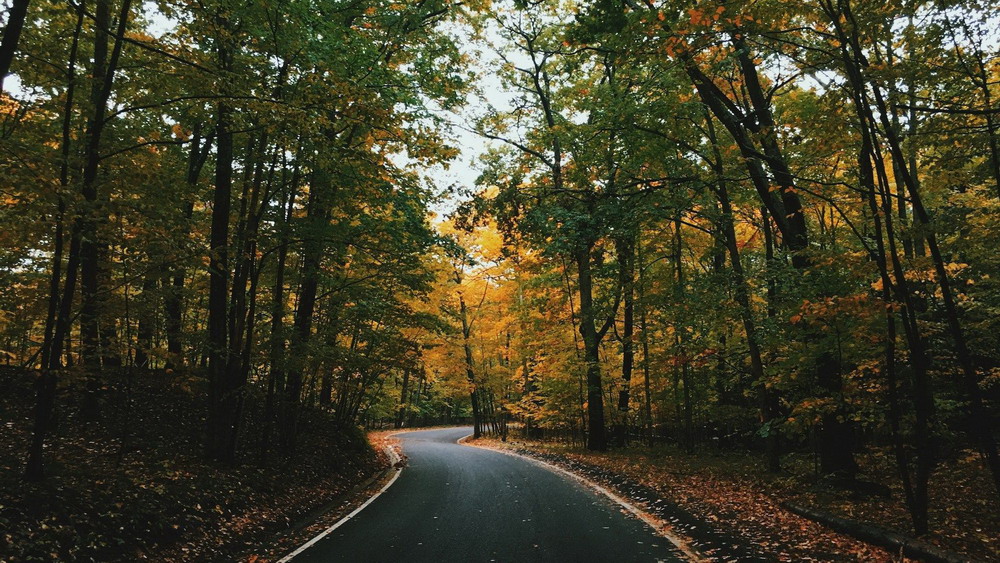 M-119 Tunnel of Trees scenic road in Michigan