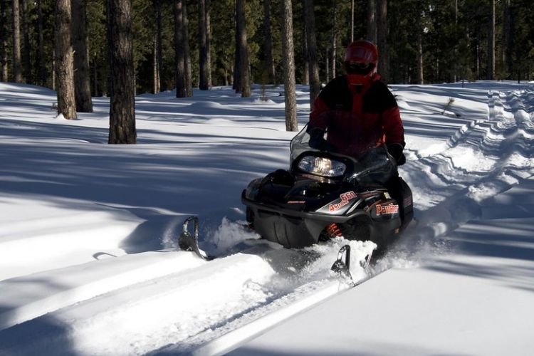 7 Different Types of Snowmobiles 