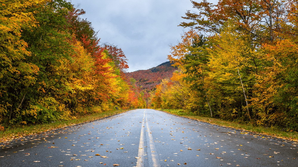 Rainy Adirondack Mountains