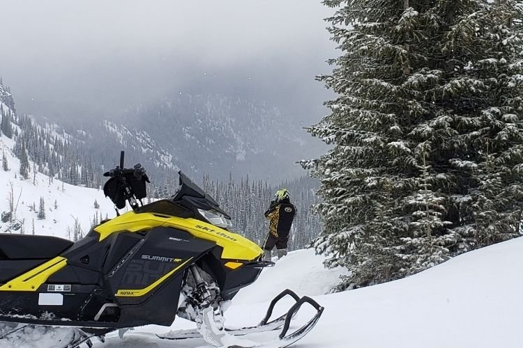 Snowmobile in the snow forest