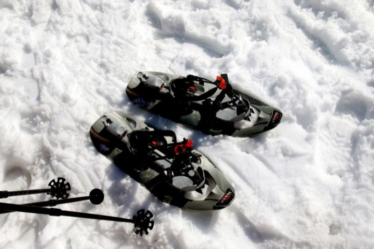 how long are snowmobiles