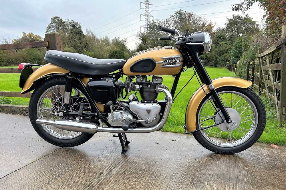 Triumph Thunderbird 6T Johnny Strabler's Motorcycle