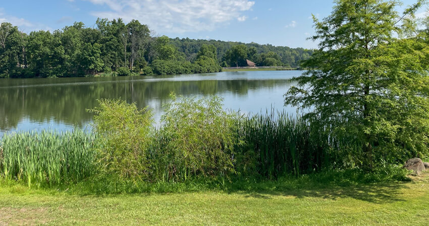 history of green laning