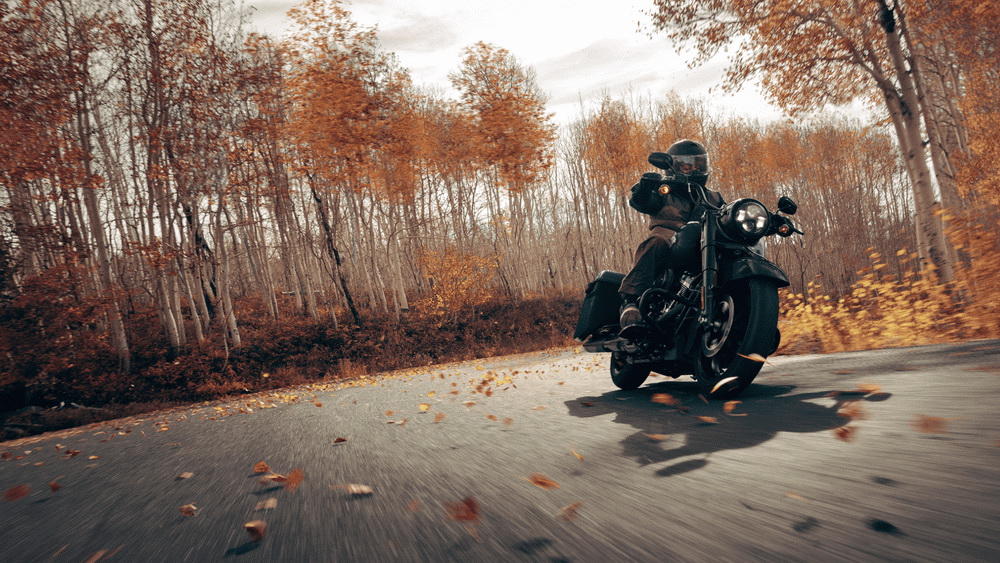 motorcycle riding fallen leaves road