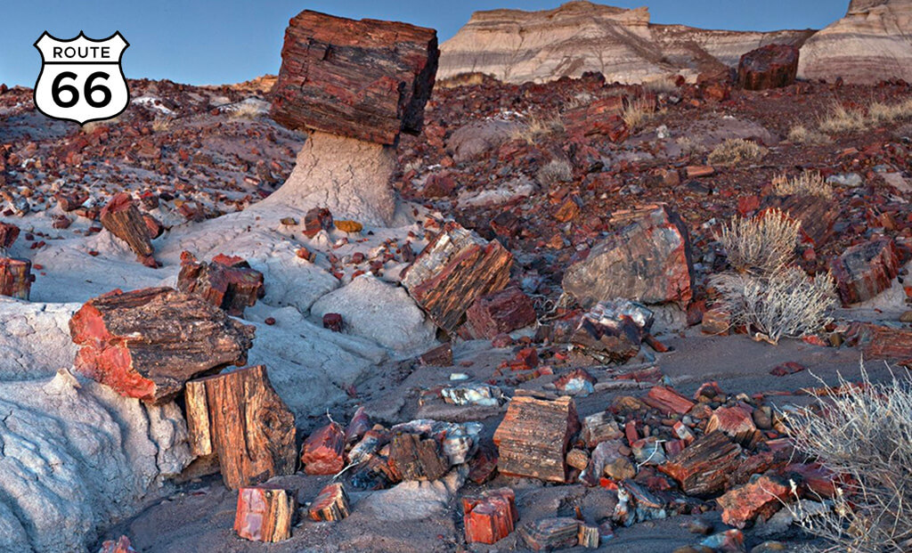 Petrified Forest National Park