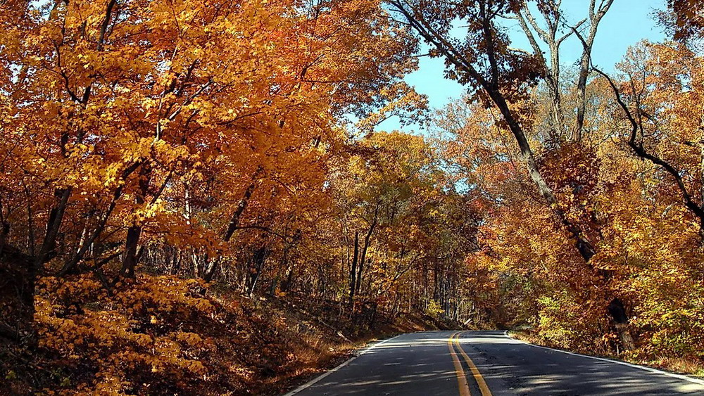 pig trail arkansas fall foliage