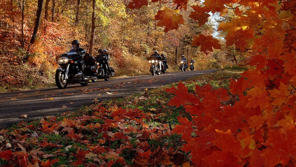 pig trail scenic byway arkansas fall motorcycle
