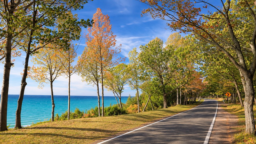 tunnel of trees lake michigan view